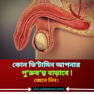 পু’রুষ’ত্ব বৃদ্ধিতে সহায়ক গুরুত্বপূর্ণ ভিটামিনগুলো জেনে নিন।