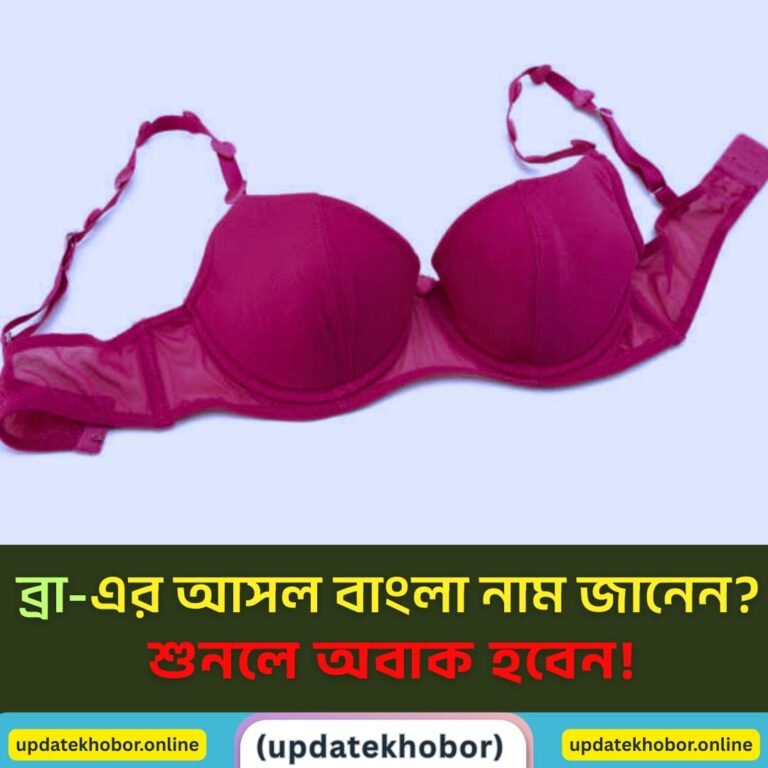 ব্রা কী? | ব্রা-এর বাংলা অর্থ, ইতিহাস ও ব্যবহার ব্রা কী? | ব্রা-এর বাংলা অর্থ, ইতিহাস ও ব্যবহার